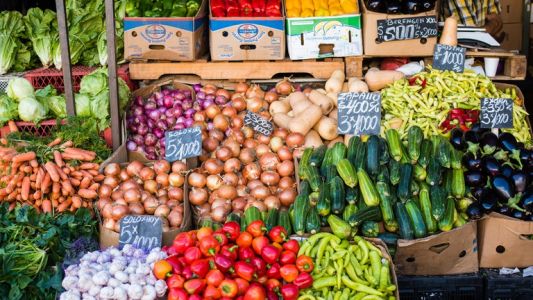 THE MODULE MARKET