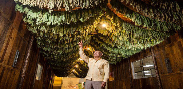 La Aurora Cigar Factory